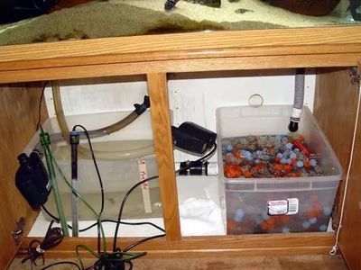 養龍魚水里需要放什么：養龍魚時水質和水質的管理