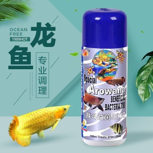 龍魚身上有白色絮狀物怎么辦啊圖片大全