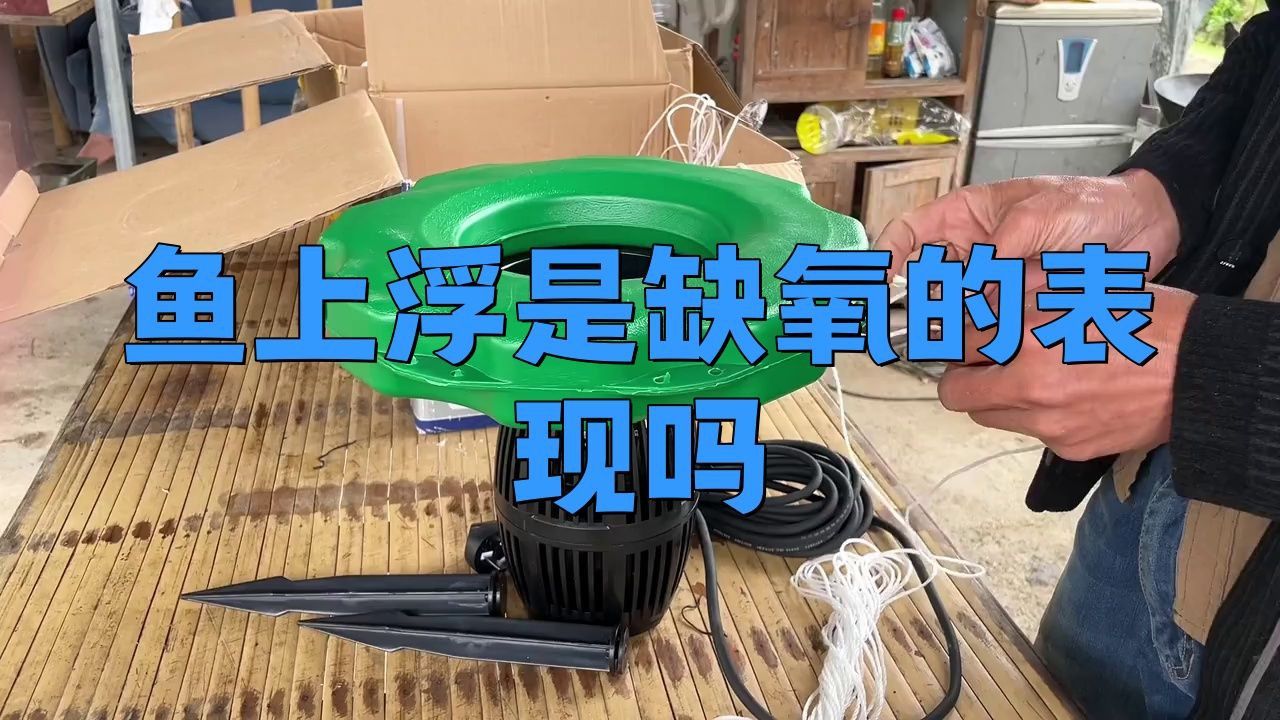 魚浮在水面是生病了嗎？