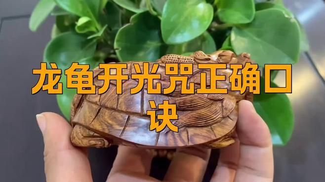 龍龜如何正確開光？