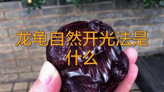龍龜如何正確開光？