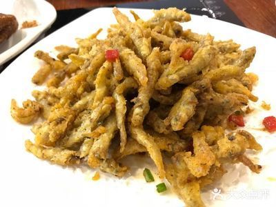 我想看小龍魚長什么樣：小龍魚長什么樣