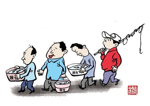 放生六角恐龍會有什么后果？