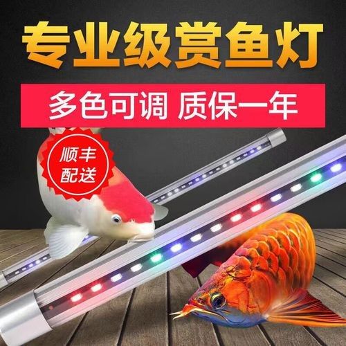 龍魚燈什么品牌的好