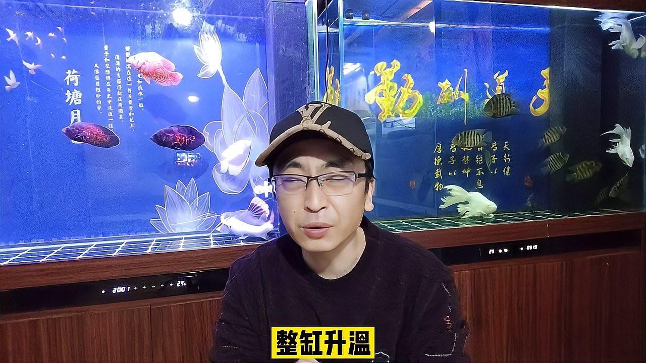 隔離缸的水質如何保持穩定？ 隔離缸的水質如何保持穩定？ 龍魚百科 第2張