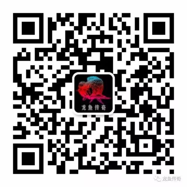 網上搜索到一篇金龍魚價格及飼養方法，對于新手特別有用