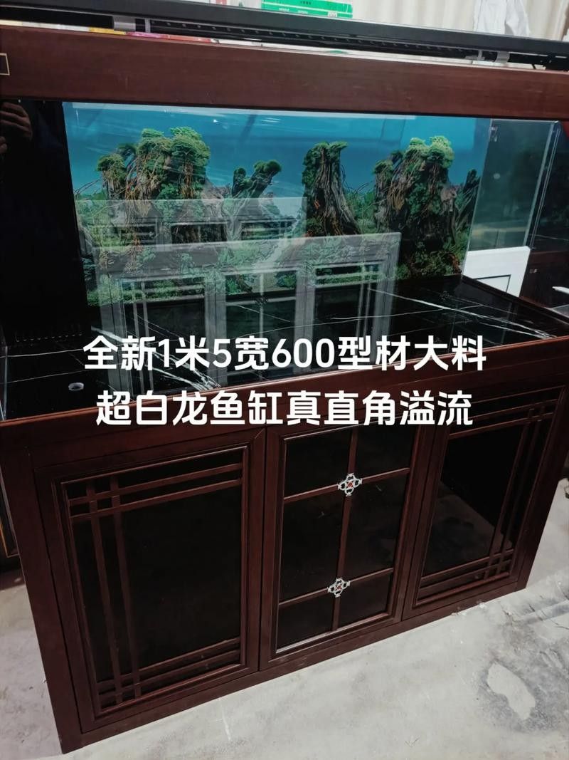 龍魚(yú)缸的最佳尺寸圖紙圖片