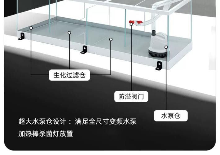 龍魚(yú)缸的最佳尺寸圖紙圖片