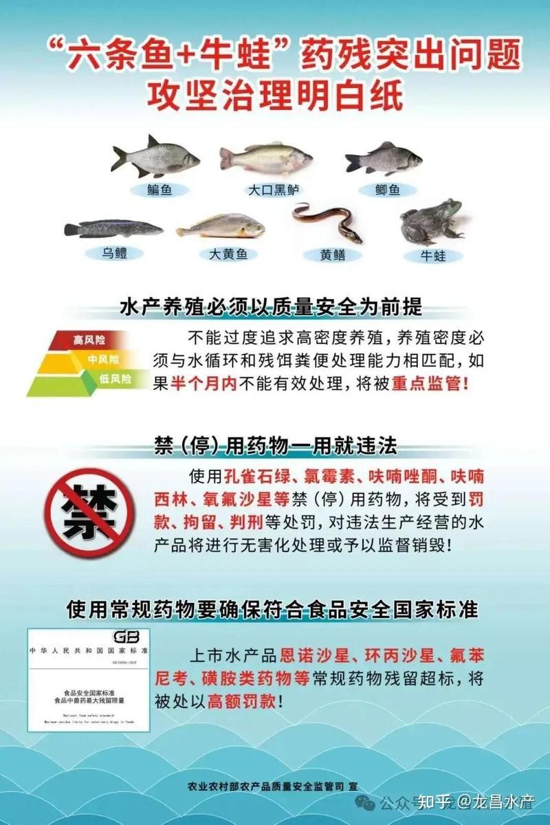 高背金龍魚(yú)的價(jià)格走勢(shì)如何？