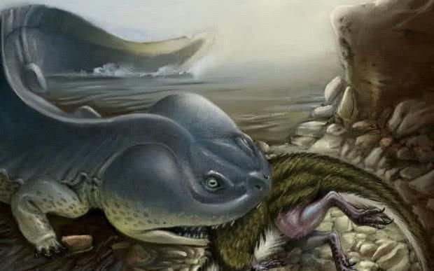 世界第一龍魚：世界第一龍魚是什么？