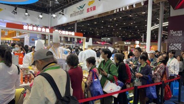 金龍魚投資計劃
