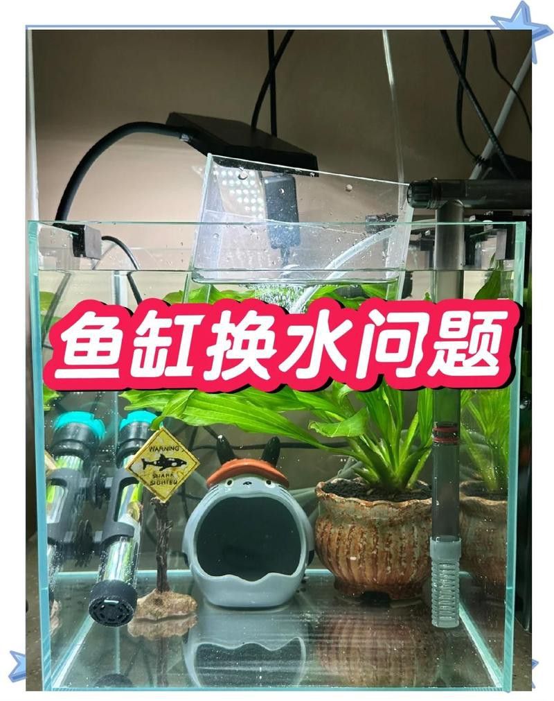金龍魚繁殖后多久換水？