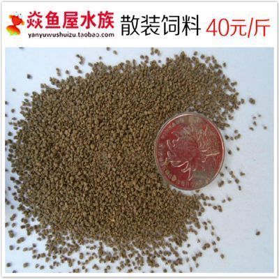 如何自制龍魚飼料配方：自制龍魚飼料的配方