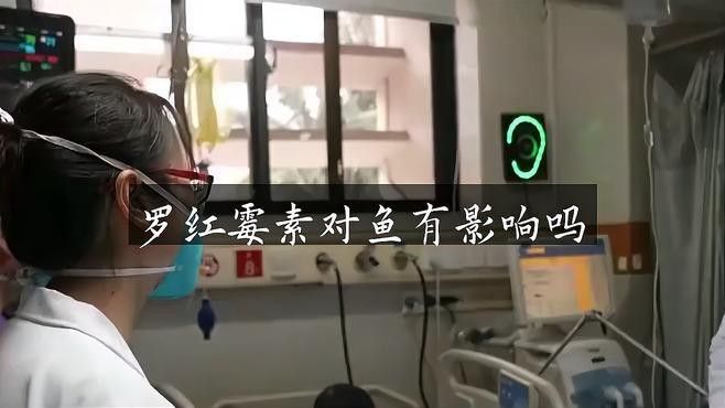 紅霉素對龍魚有影響嗎怎么用的