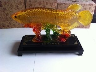 招財金龍魚嘴朝哪面（招財金龍魚嘴的朝向對財運有著重要影響的影響）