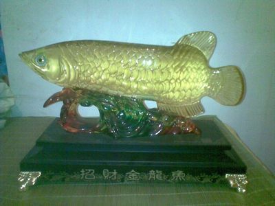招財金龍魚嘴朝哪面（招財金龍魚嘴的朝向對財運有著重要影響的影響）