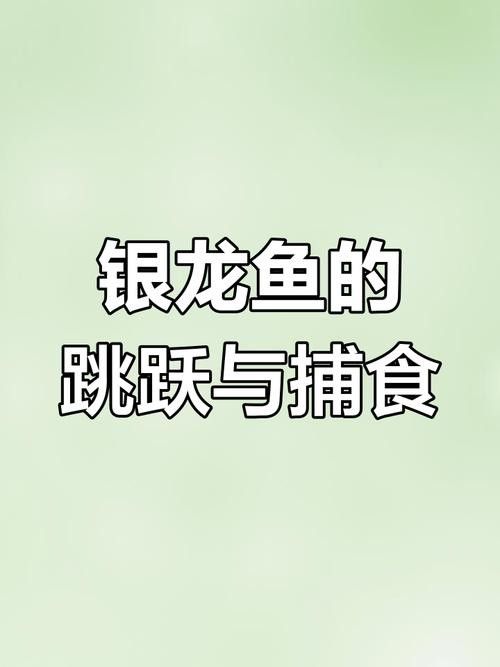 銀龍魚為什么咬人