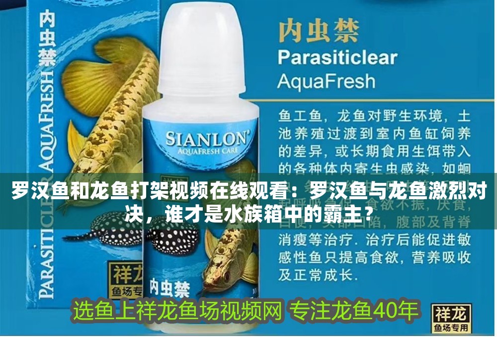 最有效防止紅龍魚掉眼睛的藥物：最有效防止紅龍魚掉眼睛的藥及科學(xué)防治方法