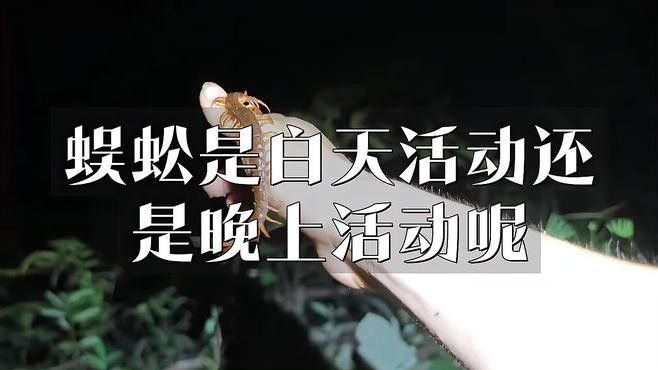 如何捕捉和飼養紅龍蜈蚣？