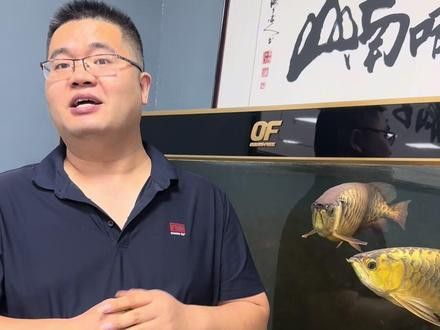 火龍魚做法