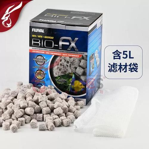 龍魚用什么過濾器材最好用圖片