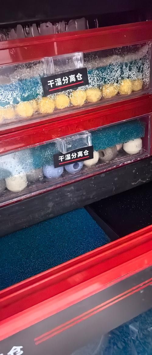 龍魚用什么過濾器材最好用圖片