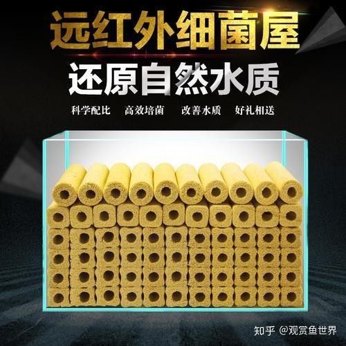 龍魚用什么過濾器材最好用圖片