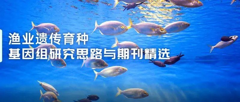 如何判斷福龍魚的遺傳穩定性？