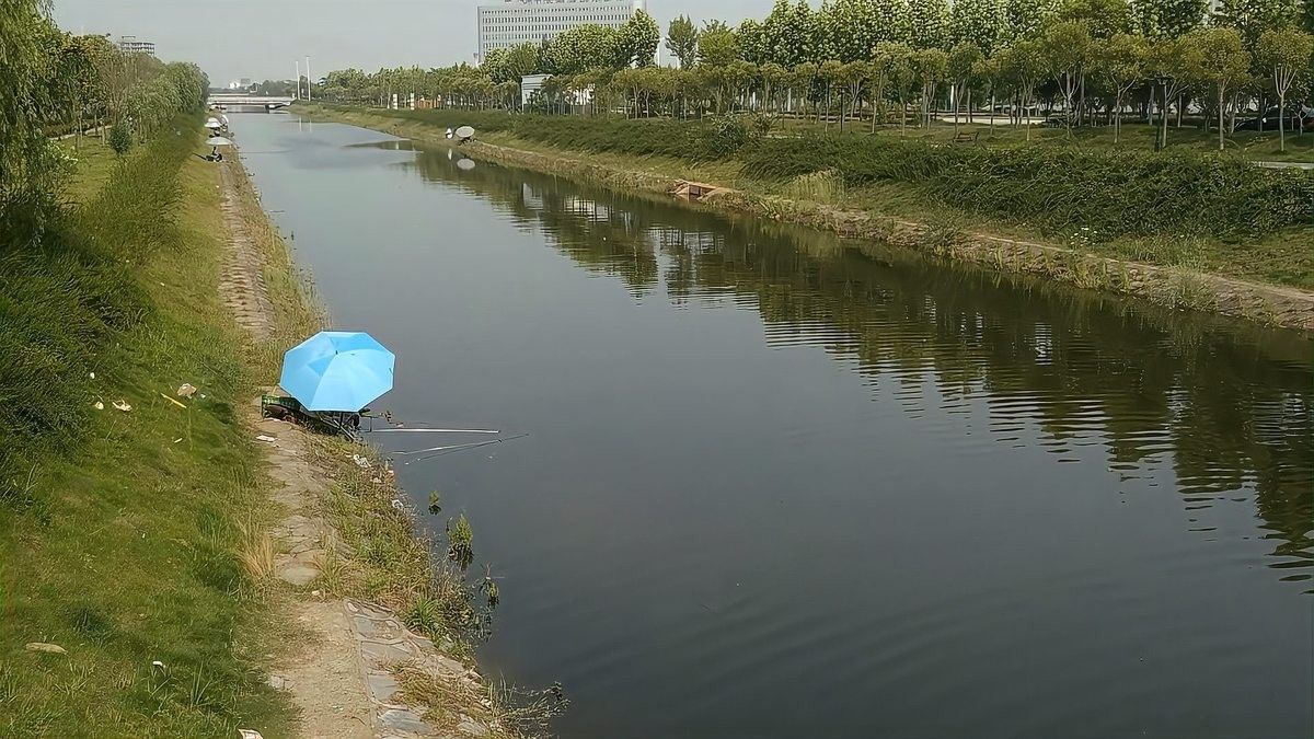 龍魚夏天水溫多少合適釣鰱鳙