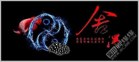 龍魚可以吃死魚嗎：如何自制龍魚飼料，龍魚活餌與死餌選擇，龍魚日常飲食結(jié)構(gòu)