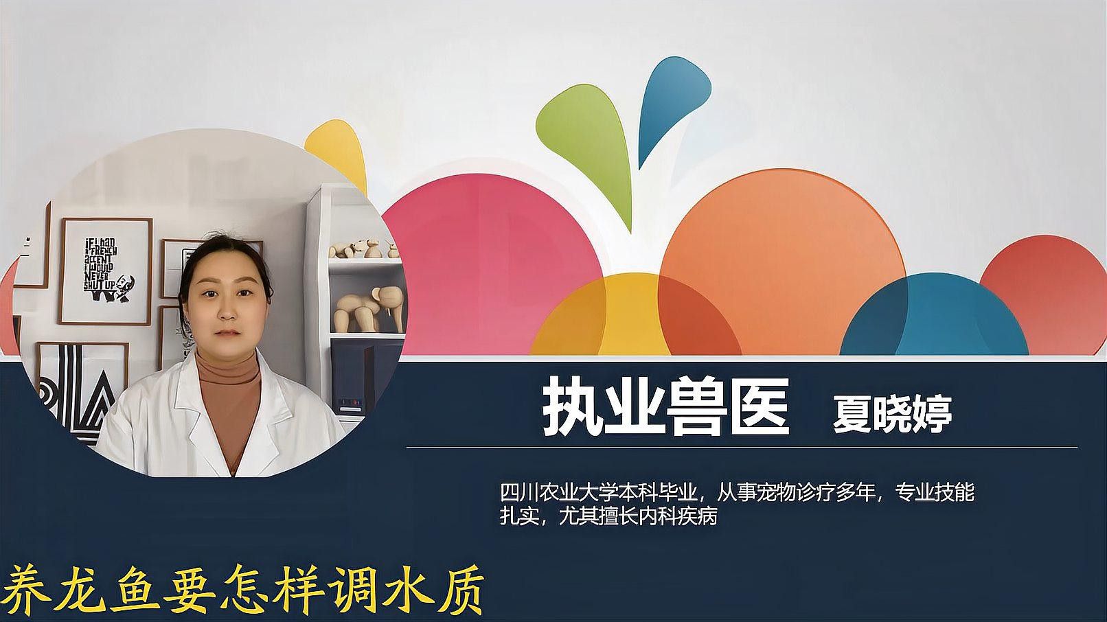 如何科學飼養龍魚避免死亡？