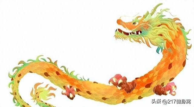 苦命龍一般生在幾月