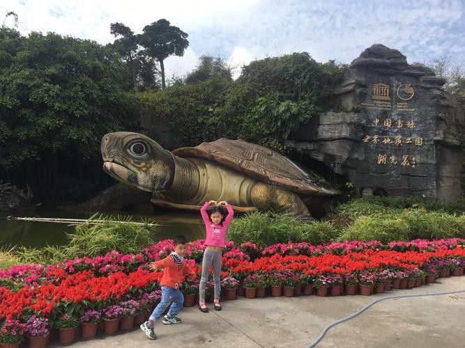 湖光巖神龜和龍魚的照片