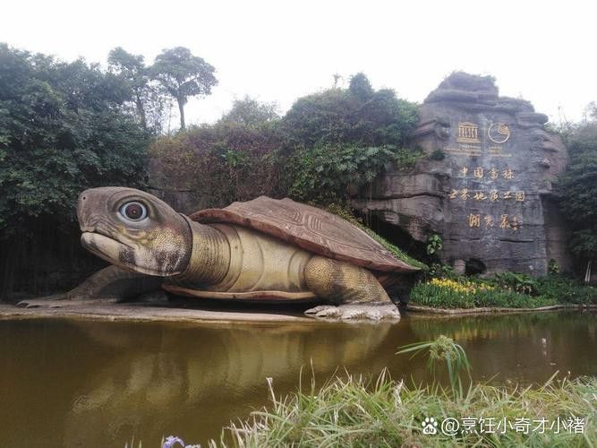湖光巖神龜和龍魚的照片