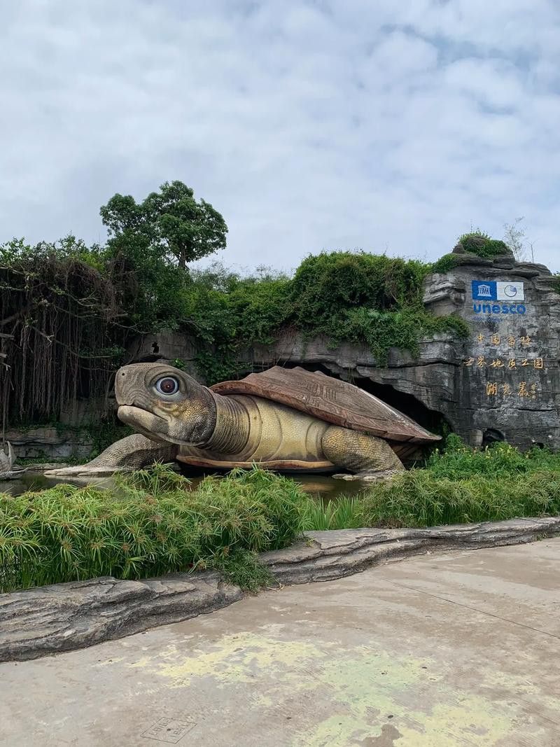 湖光巖神龜和龍魚的照片