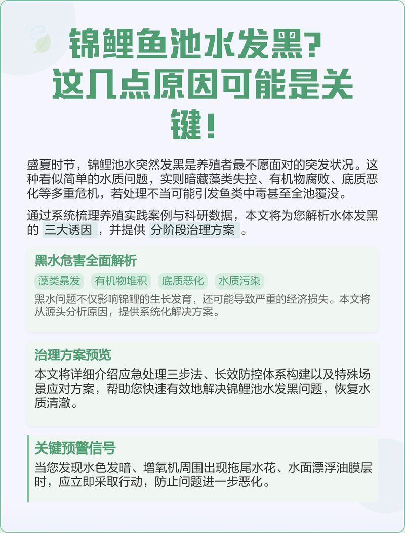 錦鯉大正退墨最簡(jiǎn)單三個(gè)步驟