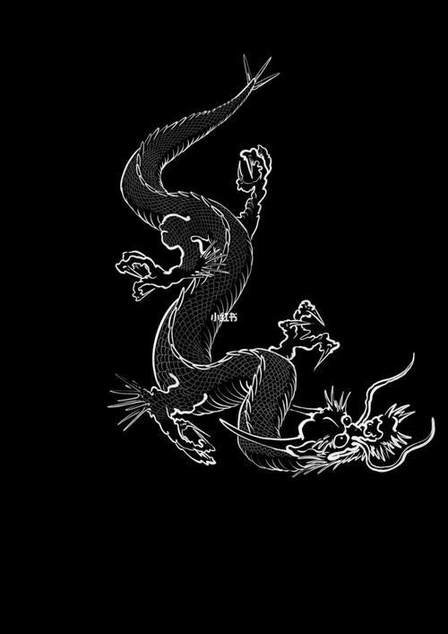 給我一些關(guān)于黑色龍的藝術(shù)作品