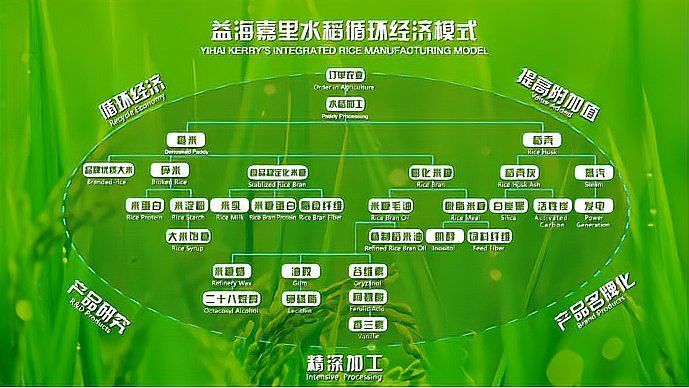 金龍魚哈爾濱基地的具體規(guī)模是多少？