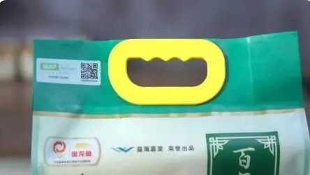 金龍魚哈爾濱基地的具體規(guī)模是多少？