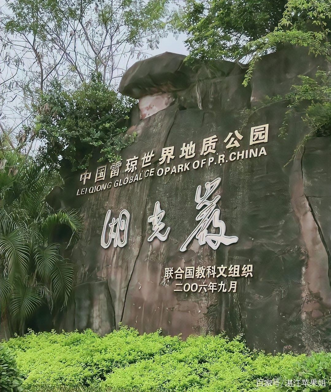 龍魚神龜傳說在線觀看