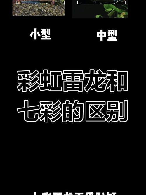 雷龍魚怎樣分公母圖解