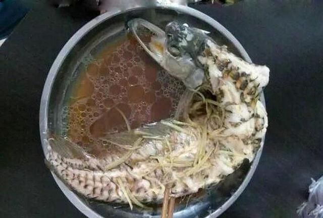 銀龍魚魚須發爛咋回事（銀龍魚魚須發爛可能是由多種因素引起的）
