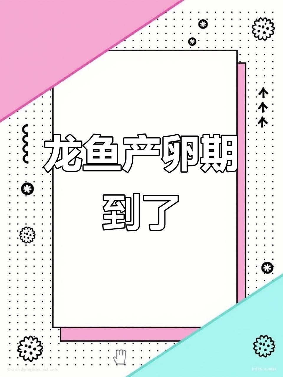 龍魚繁殖條件有哪些？