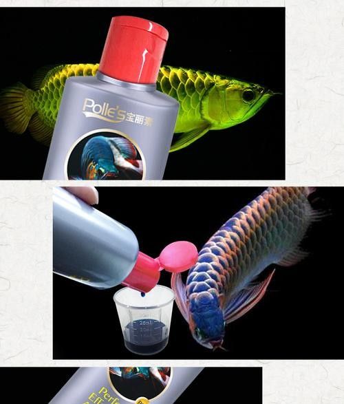 龍魚藥什么牌子的好