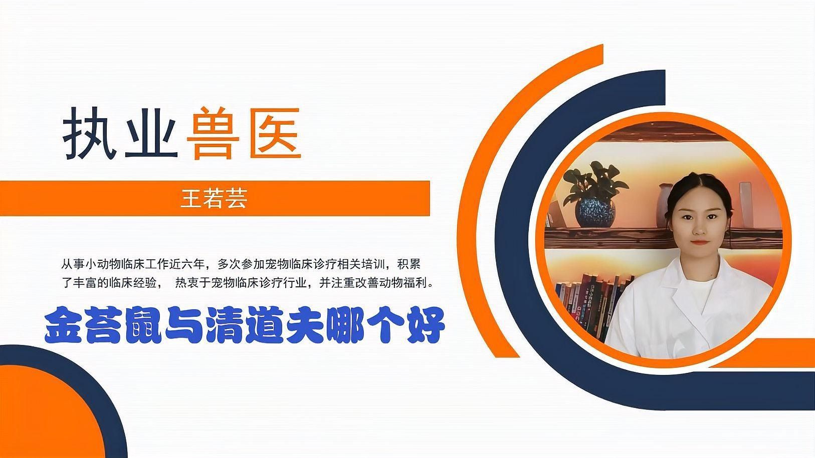 金苔鼠和清道夫哪個好