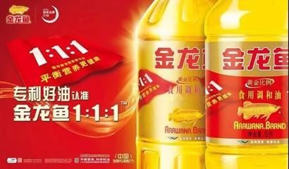 銀龍魚鱗掉了還會長出來嗎 龍魚百科 第1張 銀龍魚鱗掉了還會長出來嗎 銀龍魚鱗掉了還會長出來嗎 龍魚百科 第1張