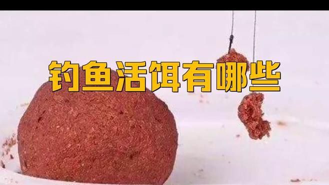 如何給龍魚安全地喂食活餌
