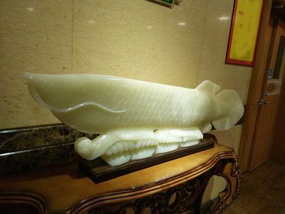 金龍魚的擺件放到什么位置好（金龍魚擺件的擺放位置和注意事項） 金龍魚的擺件放到什么位置好（金龍魚擺件的擺放位置和注意事項） 龍魚百科 第2張