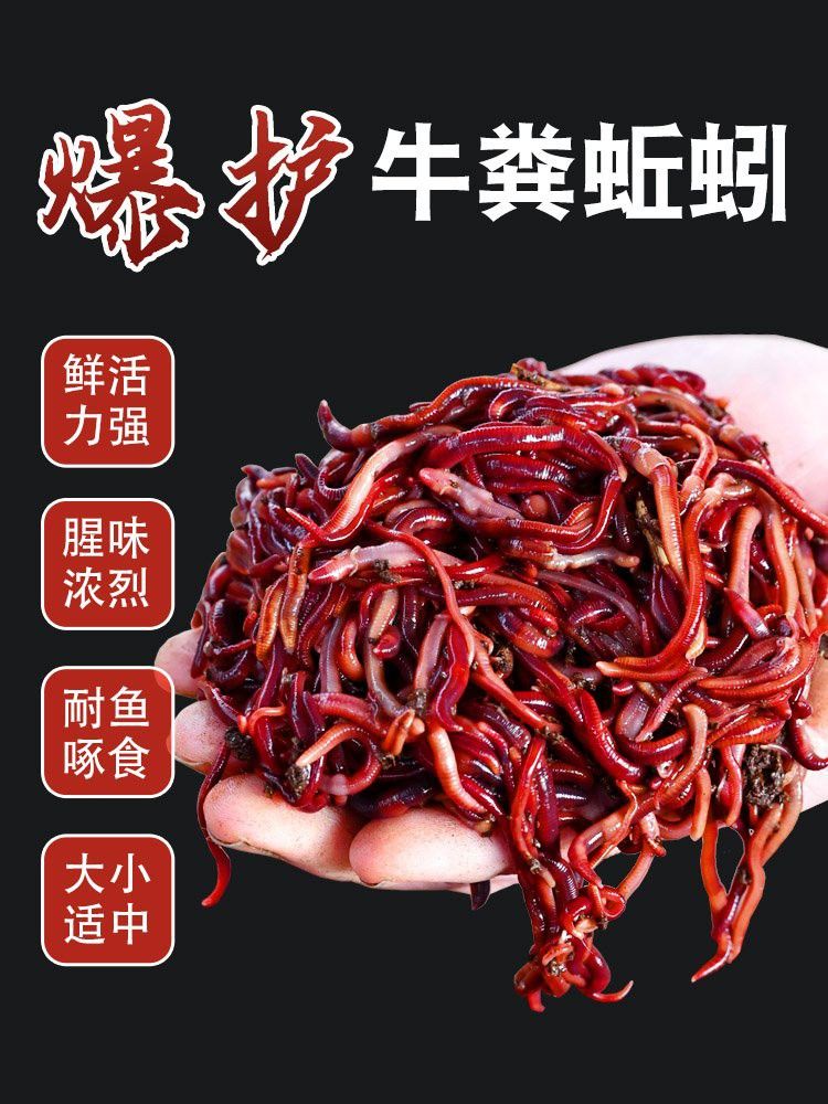 龍魚飼料的價(jià)格范圍是多少？ 龍魚飼料的價(jià)格范圍是多少？ 龍魚百科 第6張