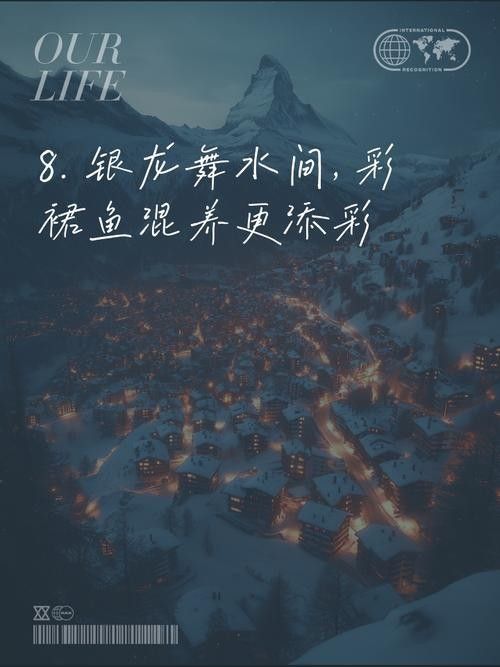 銀龍魚和雙線魚能混養嗎圖片